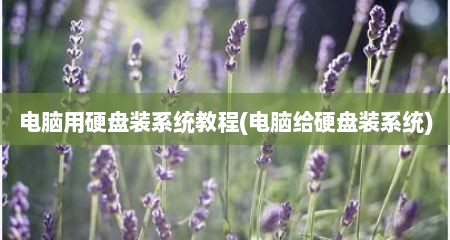 电脑用硬盘装系统教程(电脑给硬盘装系统)