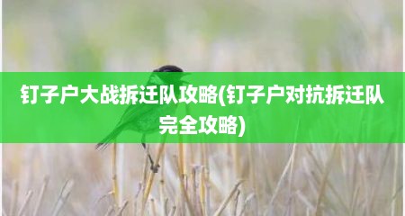 钉子户大战拆迁队攻略(钉子户对抗拆迁队完全攻略)