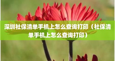 深圳社保清单手机上怎么查询打印（社保清单手机上怎么查询打印）