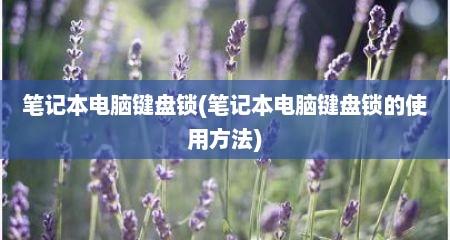 笔记本电脑键盘锁(笔记本电脑键盘锁的使用方法)