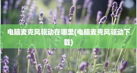 电脑麦克风驱动在哪里(电脑麦克风驱动下载)