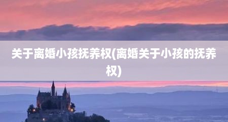 关于离婚小孩抚养权(离婚关于小孩的抚养权)