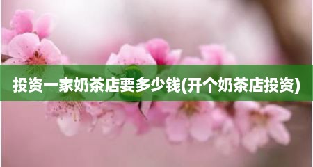 投资一家奶茶店要多少钱(开个奶茶店投资)
