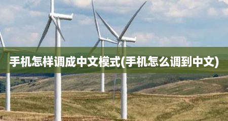 手机怎样调成中文模式(手机怎么调到中文)