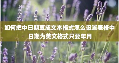 如何把中日期变成文本格式怎么设置表格中日期为英文格式只要年月