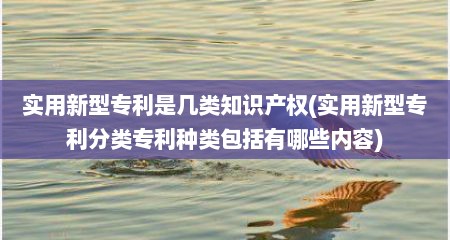 实用新型专利是几类知识产权(实用新型专利分类专利种类包括有哪些内容)
