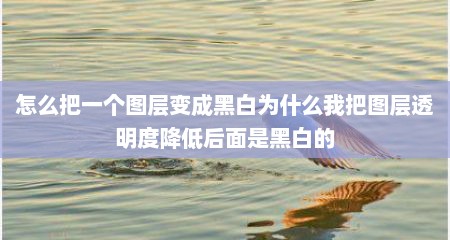 怎么把一个图层变成黑白为什么我把图层透明度降低后面是黑白的
