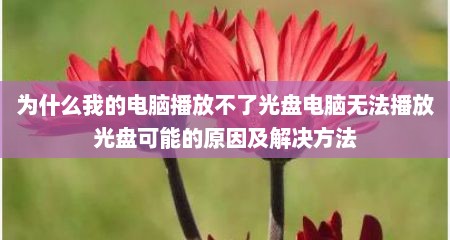 为什么我的电脑播放不了光盘电脑无法播放光盘可能的原因及解决方法