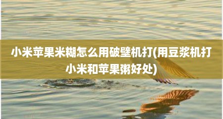 小米苹果米糊怎么用破壁机打(用豆浆机打小米和苹果粥好处)