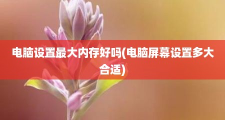电脑设置最大内存好吗(电脑屏幕设置多大合适)