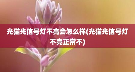 光猫光信号灯不亮会怎么样(光猫光信号灯不亮正常不)