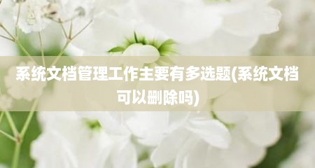 系统文档管理工作主要有多选题(系统文档可以删除吗)