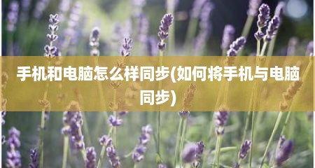 手机和电脑怎么样同步(如何将手机与电脑同步)