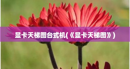 显卡天梯图台式机(《显卡天梯图》)