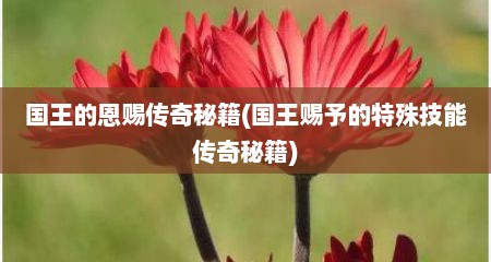 国王的恩赐传奇秘籍(国王赐予的特殊技能传奇秘籍)