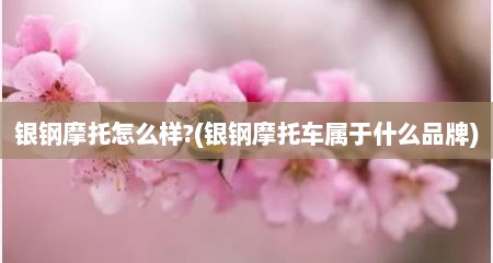 银钢摩托怎么样?(银钢摩托车属于什么品牌)