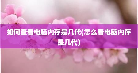 如何查看电脑内存是几代(怎么看电脑内存是几代)