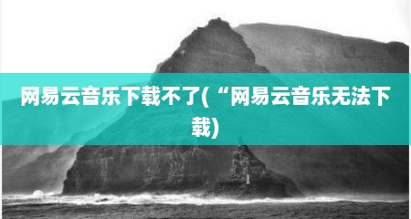 网易云音乐下载不了(“网易云音乐无法下载)