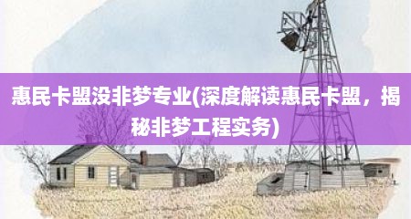 惠民卡盟没非梦专业(深度解读惠民卡盟，揭秘非梦工程实务)