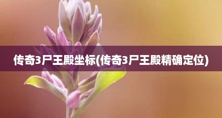 传奇3尸王殿坐标(传奇3尸王殿精确定位)