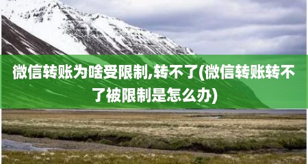 微信转账为啥受限制,转不了(微信转账转不了被限制是怎么办)