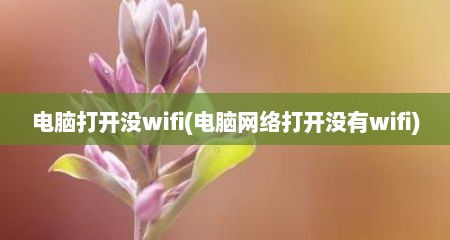 电脑打开没wifi(电脑网络打开没有wifi)