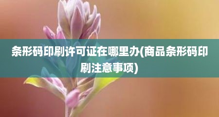 条形码印刷许可证在哪里办(商品条形码印刷注意事项)