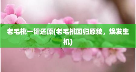老毛桃一键还原(老毛桃回归原貌，焕发生机)