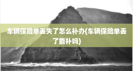车辆保险单丢失了怎么补办(车辆保险单丢了能补吗)