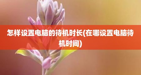 怎样设置电脑的待机时长(在哪设置电脑待机时间)