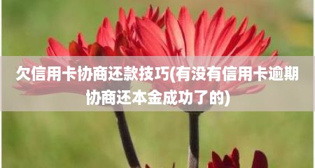 欠信用卡协商还款技巧(有没有信用卡逾期协商还本金成功了的)