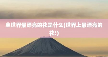 全世界最漂亮的花是什么(世界上最漂亮的花!)