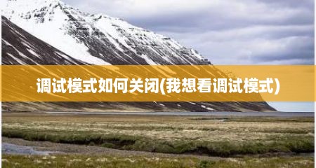 调试模式如何关闭(我想看调试模式)
