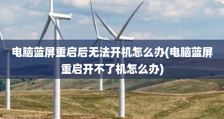 电脑蓝屏重启后无法开机怎么办(电脑蓝屏重启开不了机怎么办)