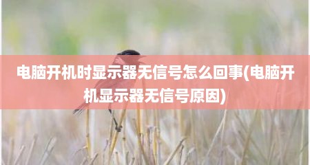 电脑开机时显示器无信号怎么回事(电脑开机显示器无信号原因)