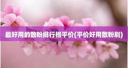 最好用的散粉排行榜平价(平价好用散粉刷)