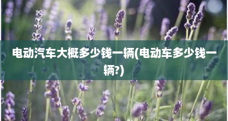 电动汽车大概多少钱一辆(电动车多少钱一辆?)