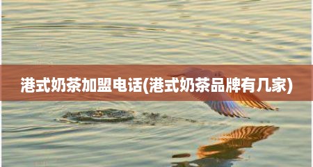港式奶茶加盟电话(港式奶茶品牌有几家)