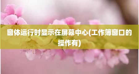 窗体运行时显示在屏幕中心(工作簿窗口的操作有)