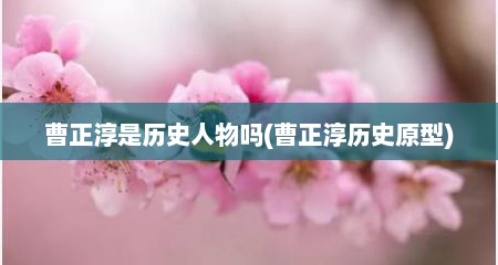 曹正淳是历史人物吗(曹正淳历史原型)