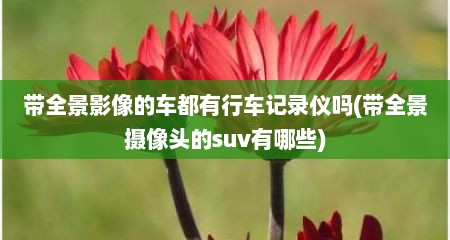 带全景影像的车都有行车记录仪吗(带全景摄像头的suv有哪些)