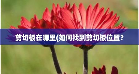 剪切板在哪里(如何找到剪切板位置？