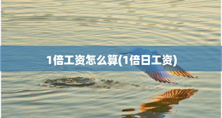 1倍工资怎么算(1倍日工资)