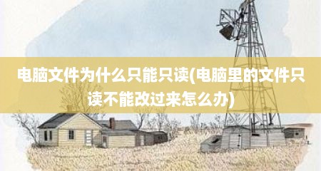电脑文件为什么只能只读(电脑里的文件只读不能改过来怎么办)