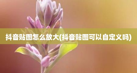 抖音贴图怎么放大(抖音贴图可以自定义吗)