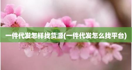 一件代发怎样找货源(一件代发怎么找平台)