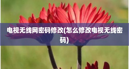 电视无线网密码修改(怎么修改电视无线密码)