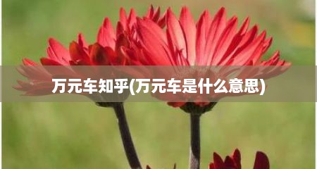 万元车知乎(万元车是什么意思)