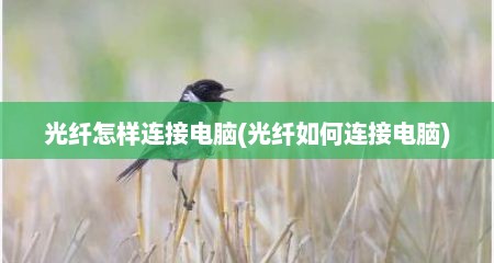 光纤怎样连接电脑(光纤如何连接电脑)