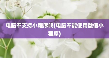 电脑不支持小程序吗(电脑不能使用微信小程序)